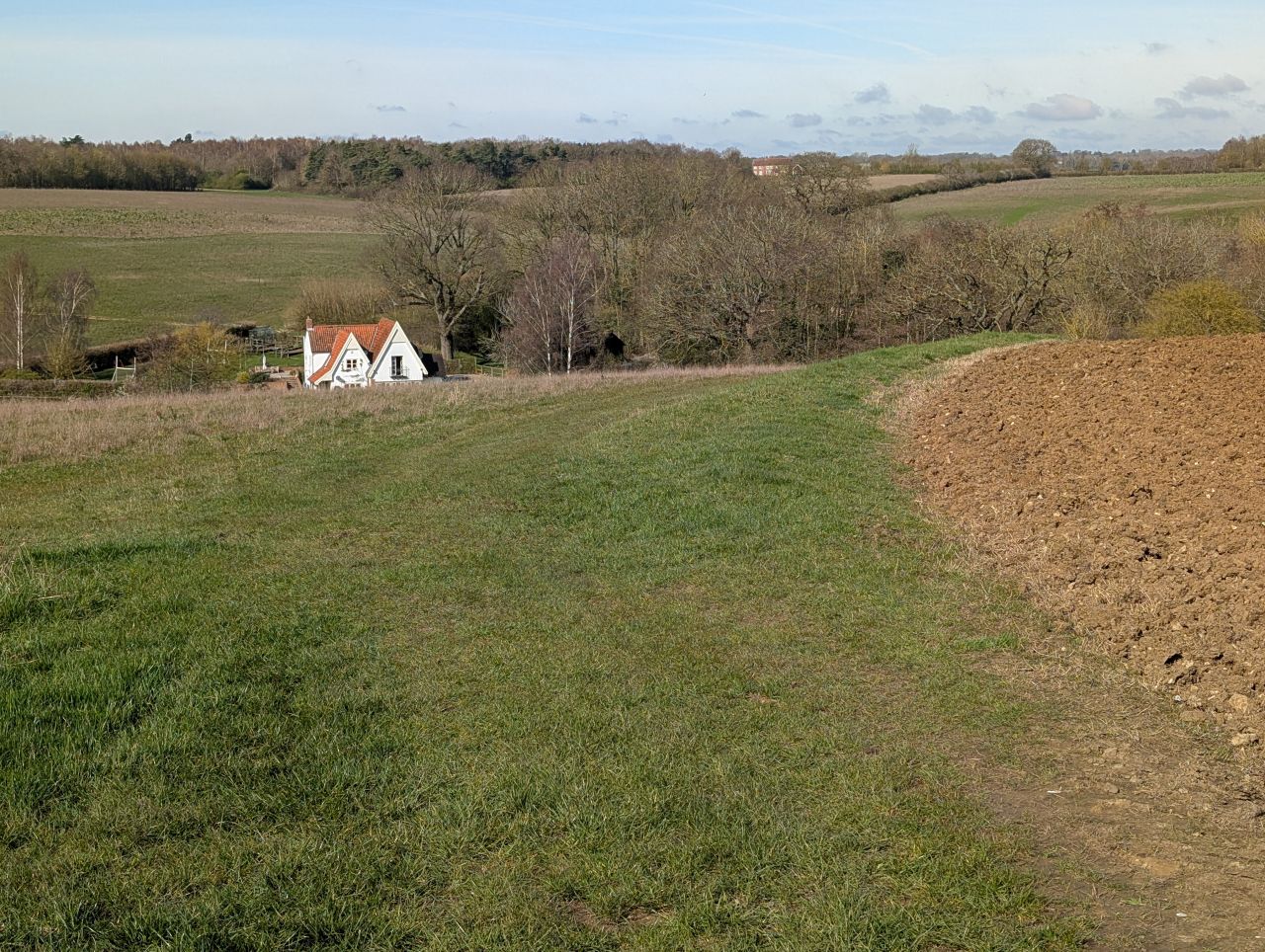 2026-03-21 39 Hadleigh Heath and Hadleigh.jpg