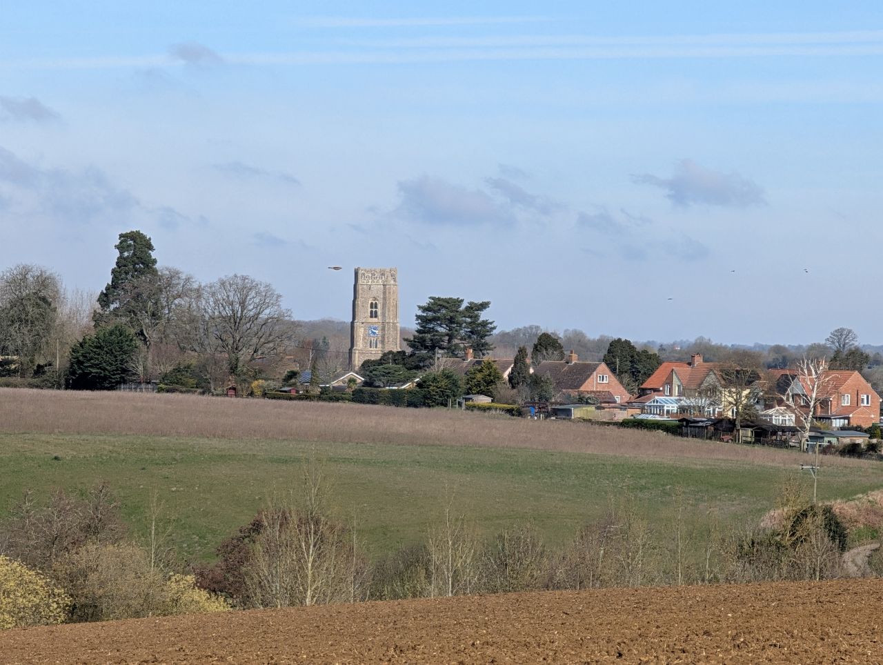 2026-03-21 40 Hadleigh Heath and Hadleigh.jpg