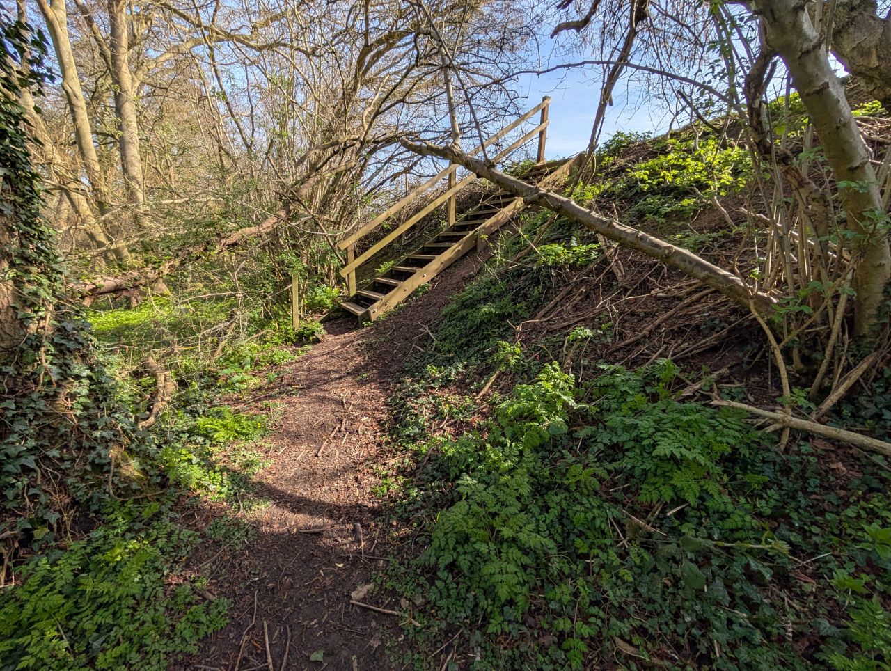 2026-03-21 41 Hadleigh Heath and Hadleigh.jpg