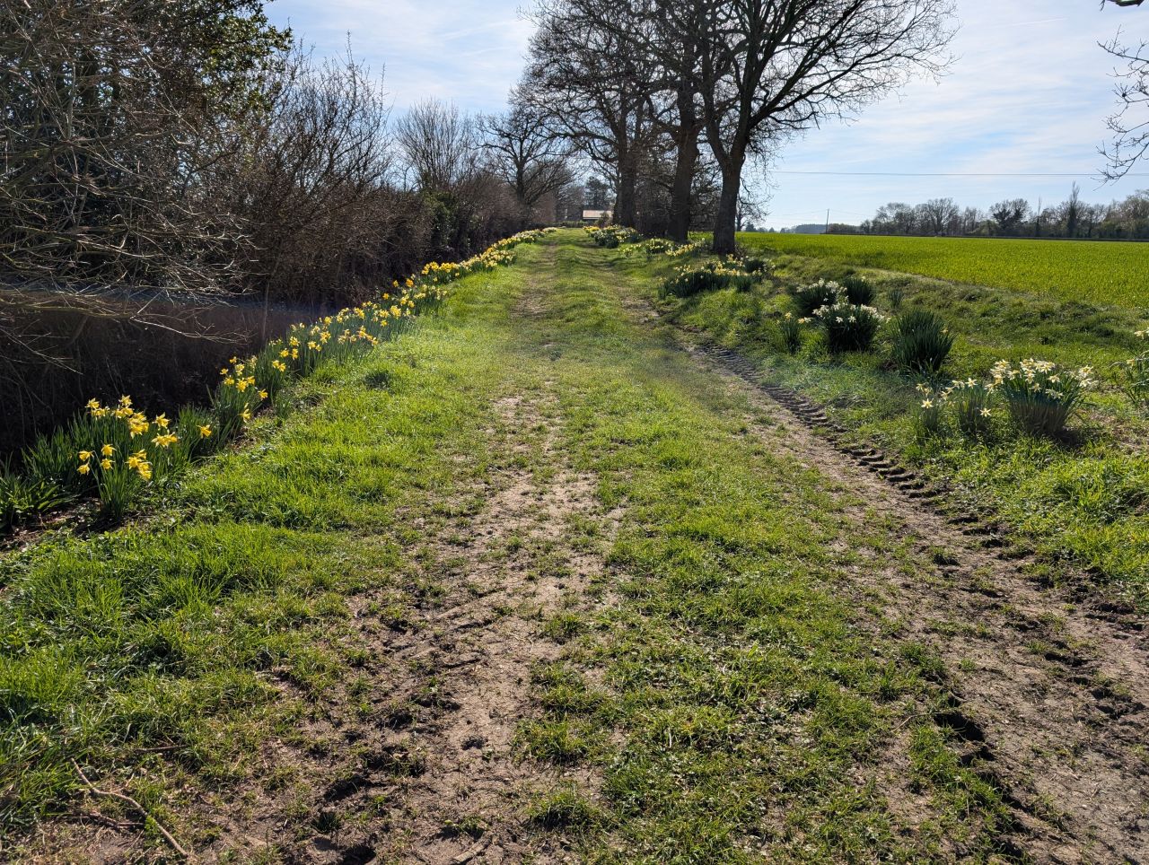 2026-03-21 43 Hadleigh Heath and Hadleigh.jpg