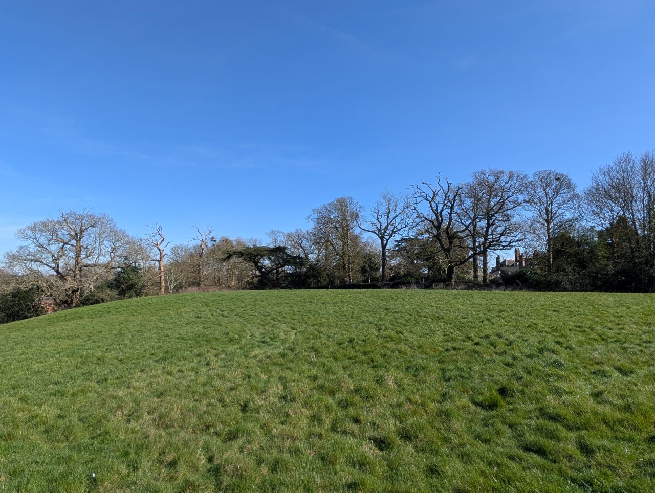 2026-03-21 46 Hadleigh Heath and Hadleigh.jpg