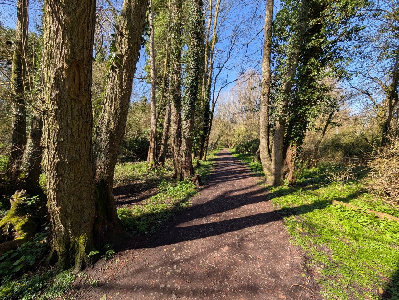 2026-03-21 49 Hadleigh Heath and Hadleigh.jpg