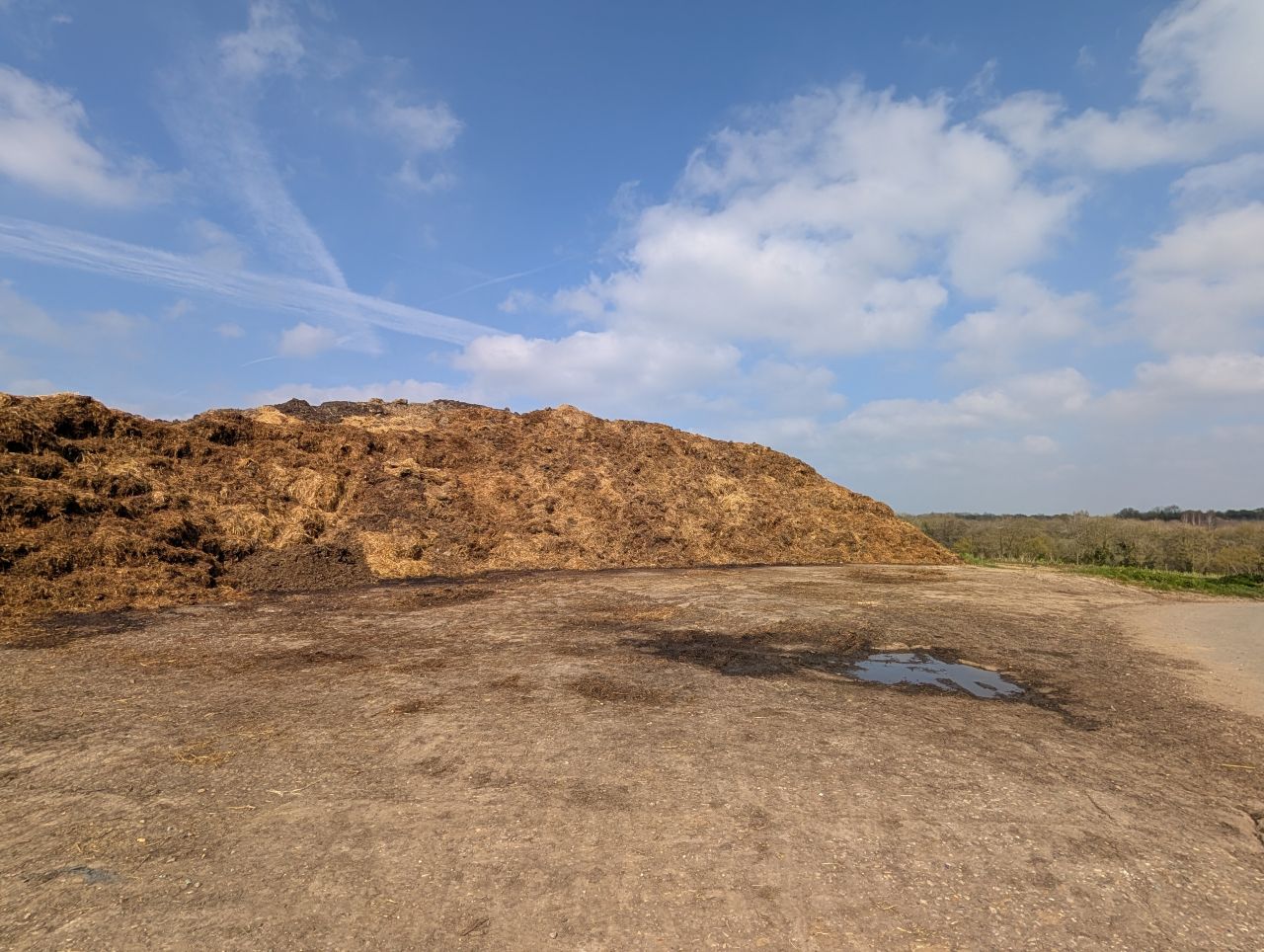 2026-03-22 14 Monks Eleigh to Lavenham.jpg
