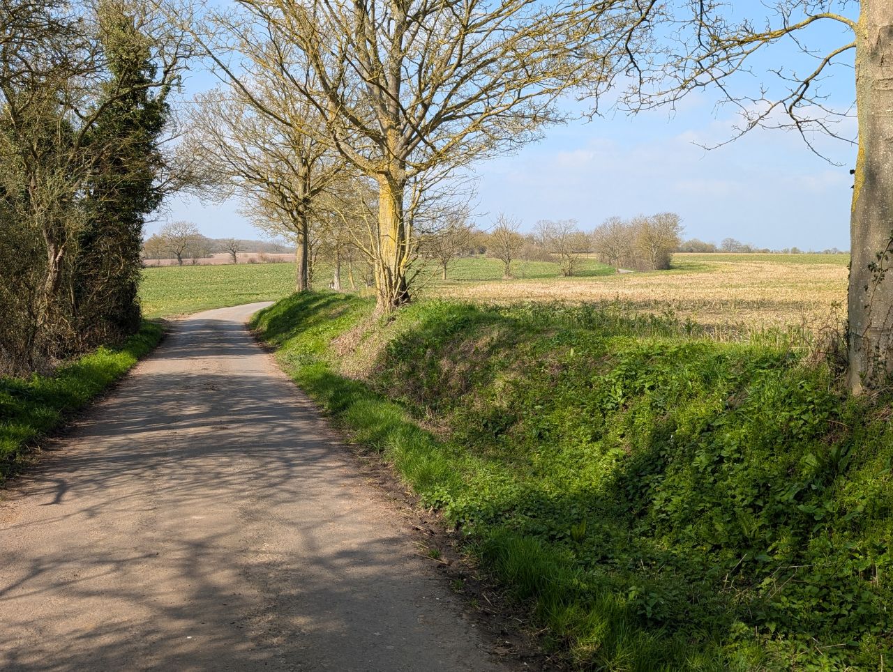 2026-03-22 17 Monks Eleigh to Lavenham.jpg