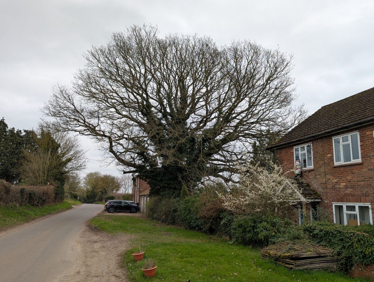 2026-03-24 03 Hadleigh to Kersey.jpg