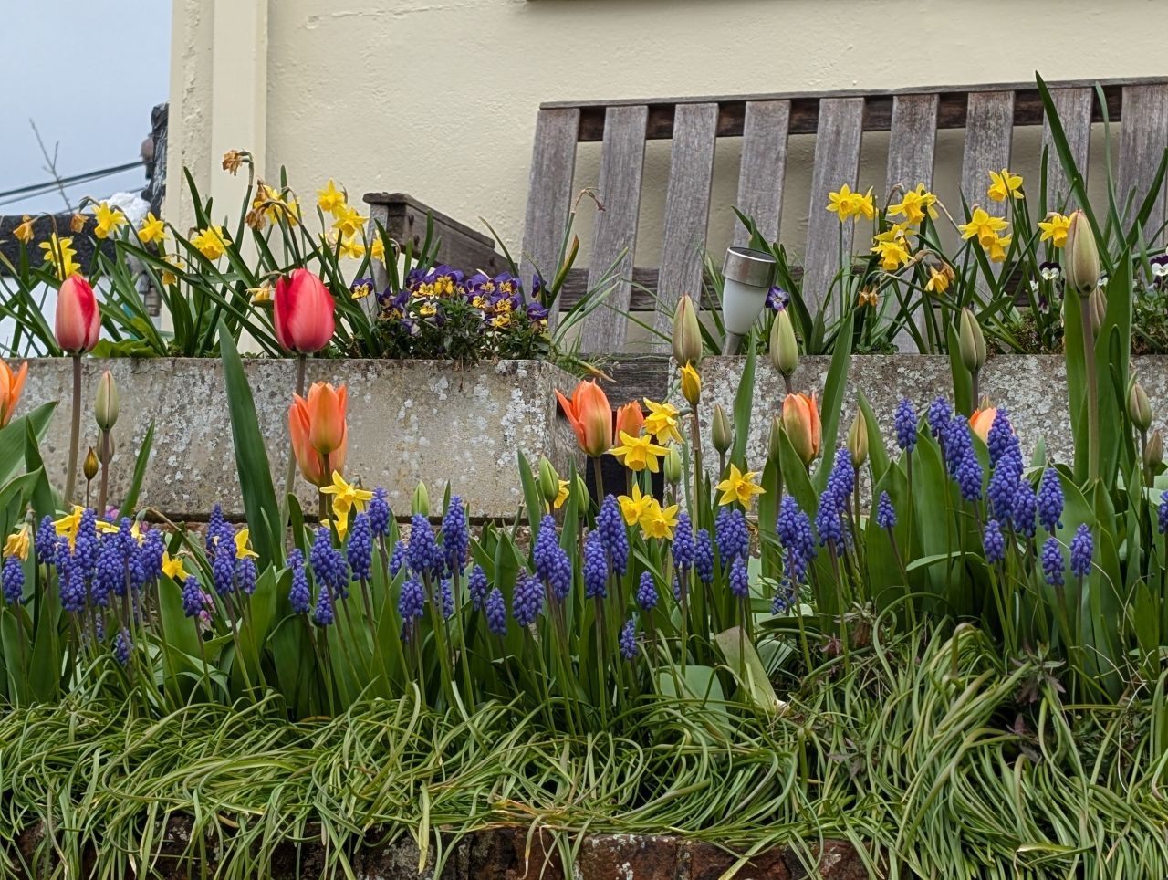 2026-03-24 26 Hadleigh to Kersey.jpg