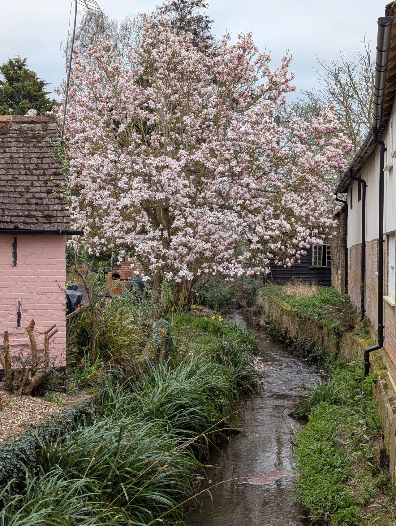 2026-03-24 33 Hadleigh to Kersey.jpg