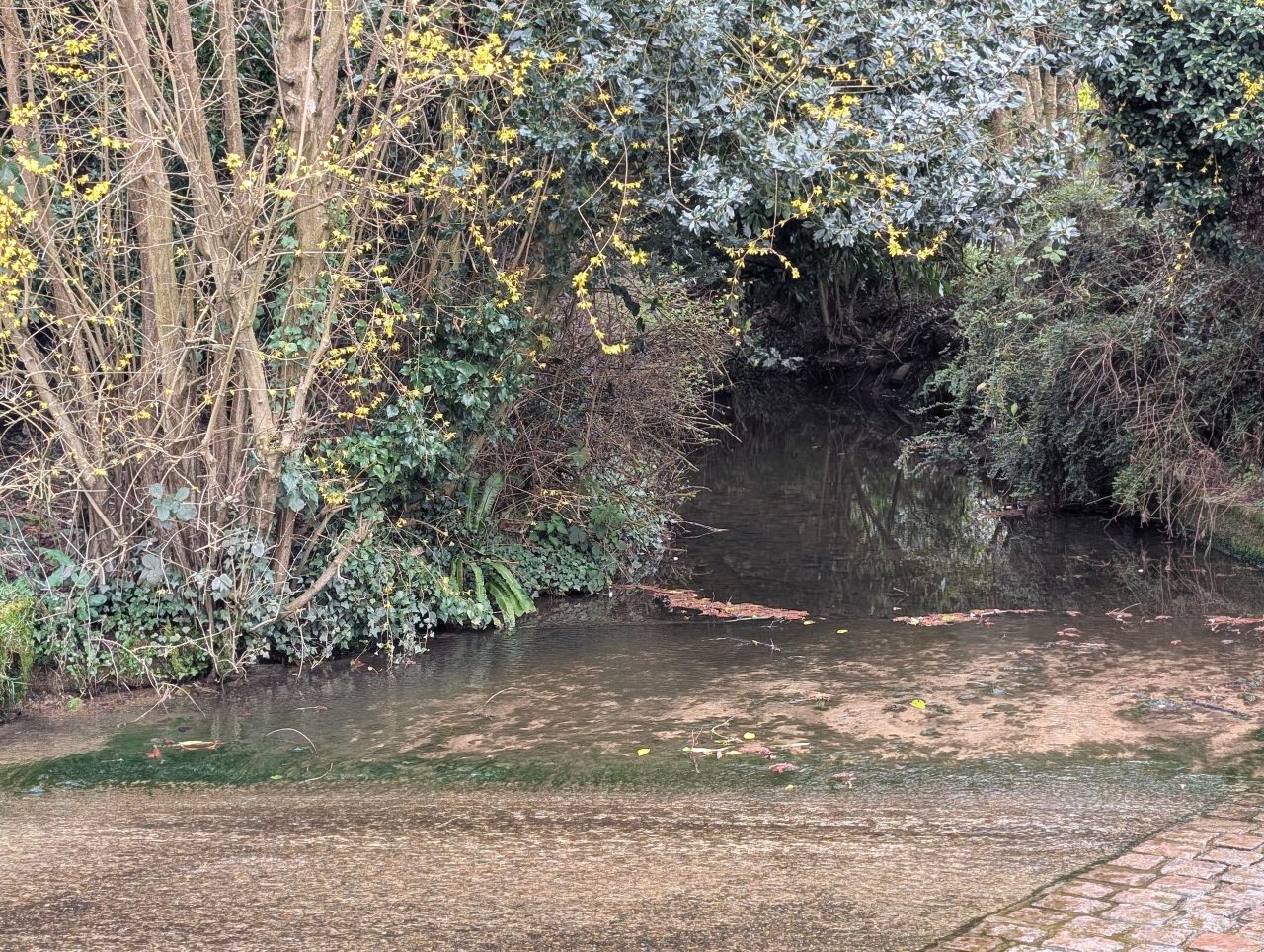 2026-03-24 34 Hadleigh to Kersey.jpg