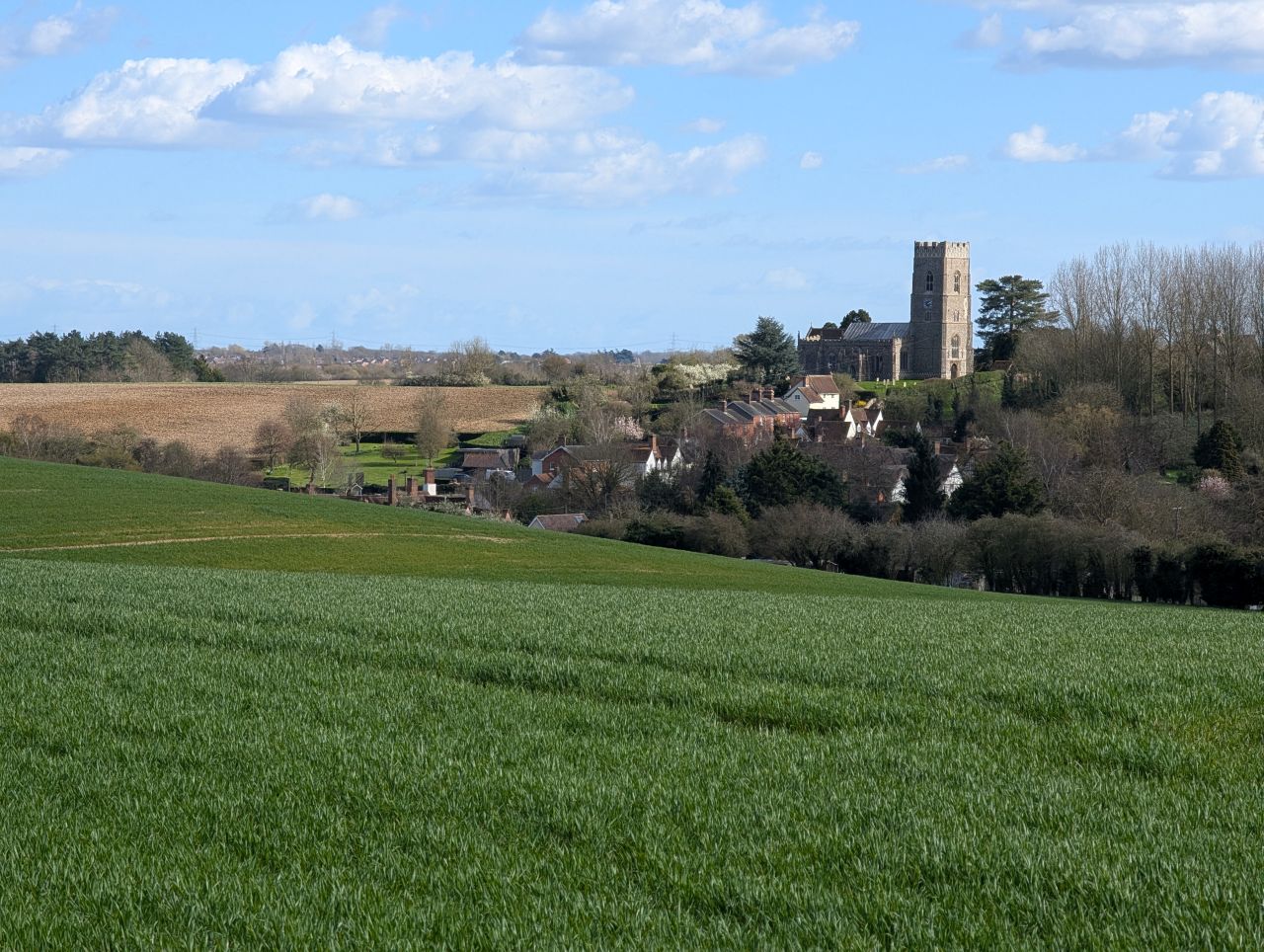 2026-03-26 47 Kersey to Monks Eleigh.jpg