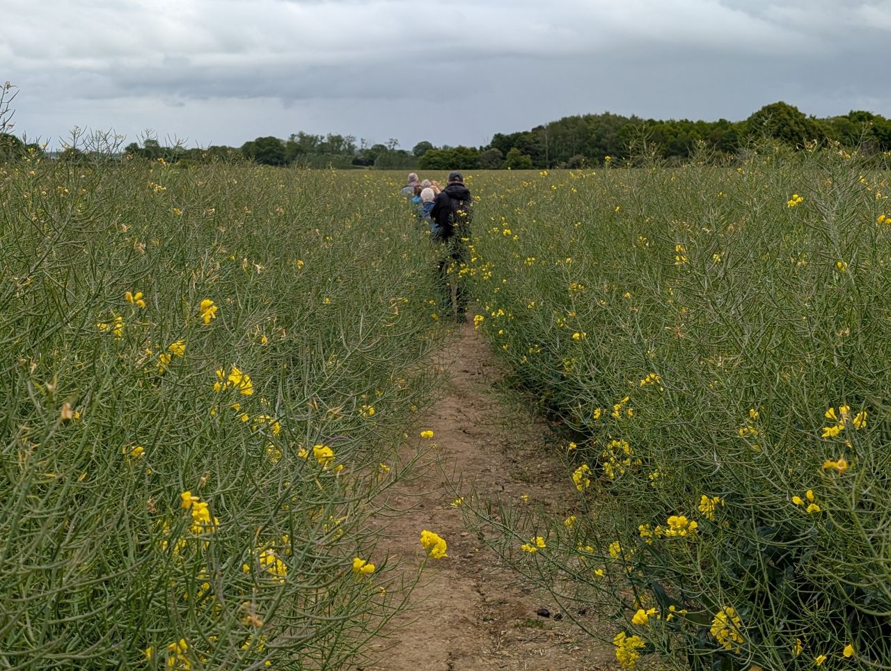2026-05-14 02 Boxford to Hadleigh.jpg