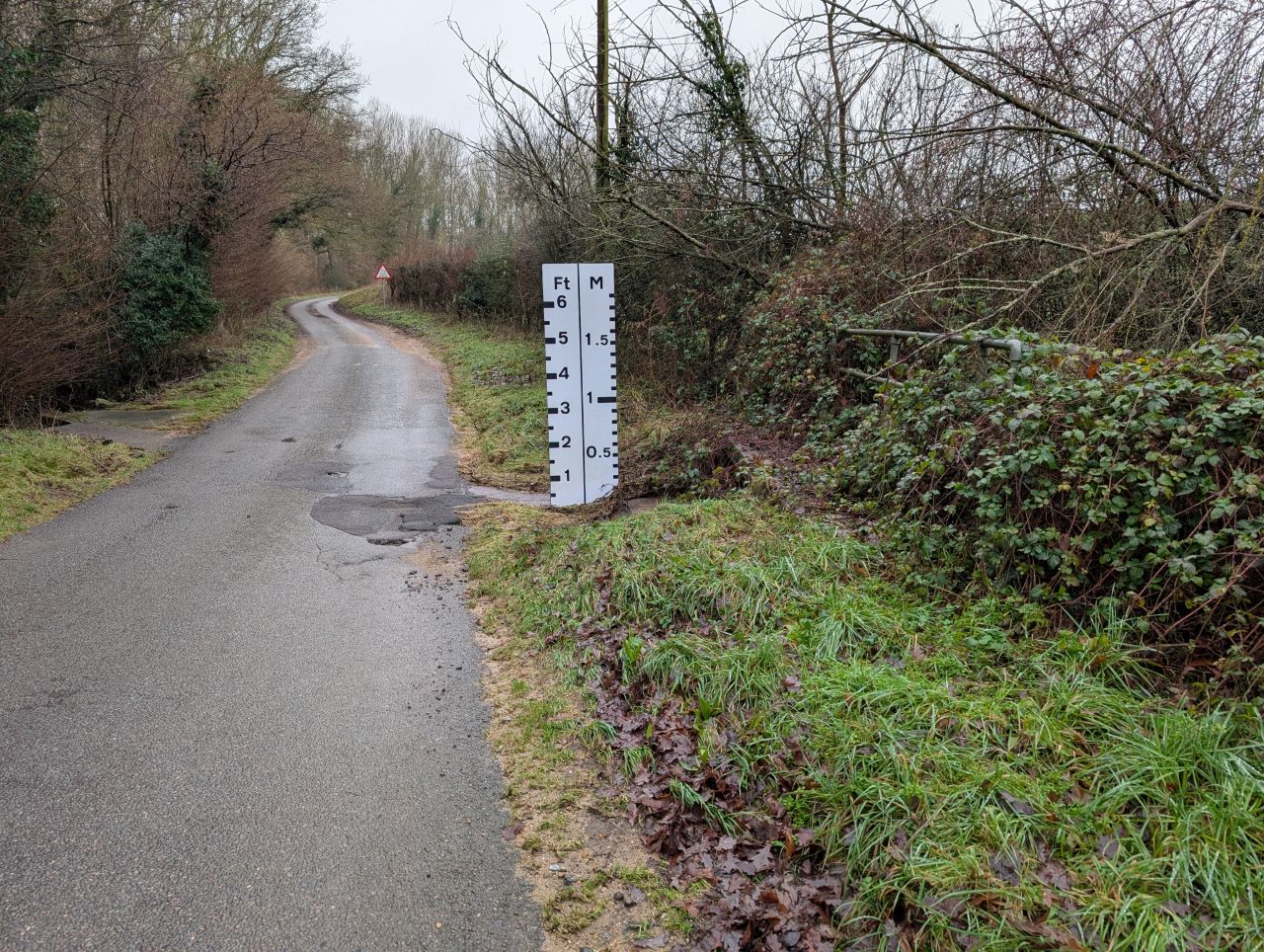 2026-01-13 10 Broome Dog Walk.jpg