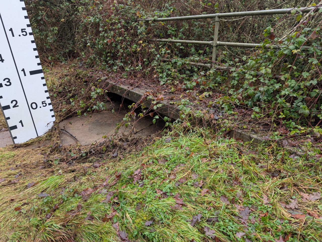 2026-01-13 11 Broome Dog Walk.jpg