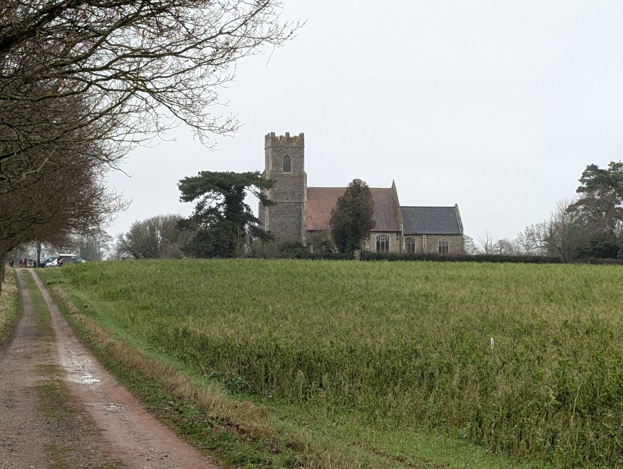 2026-01-13 13 Broome Dog Walk.jpg