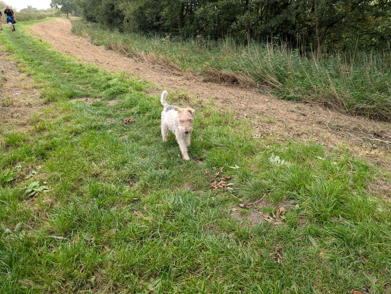 2025-10-08 02 North Cove and Wade Hall.jpg