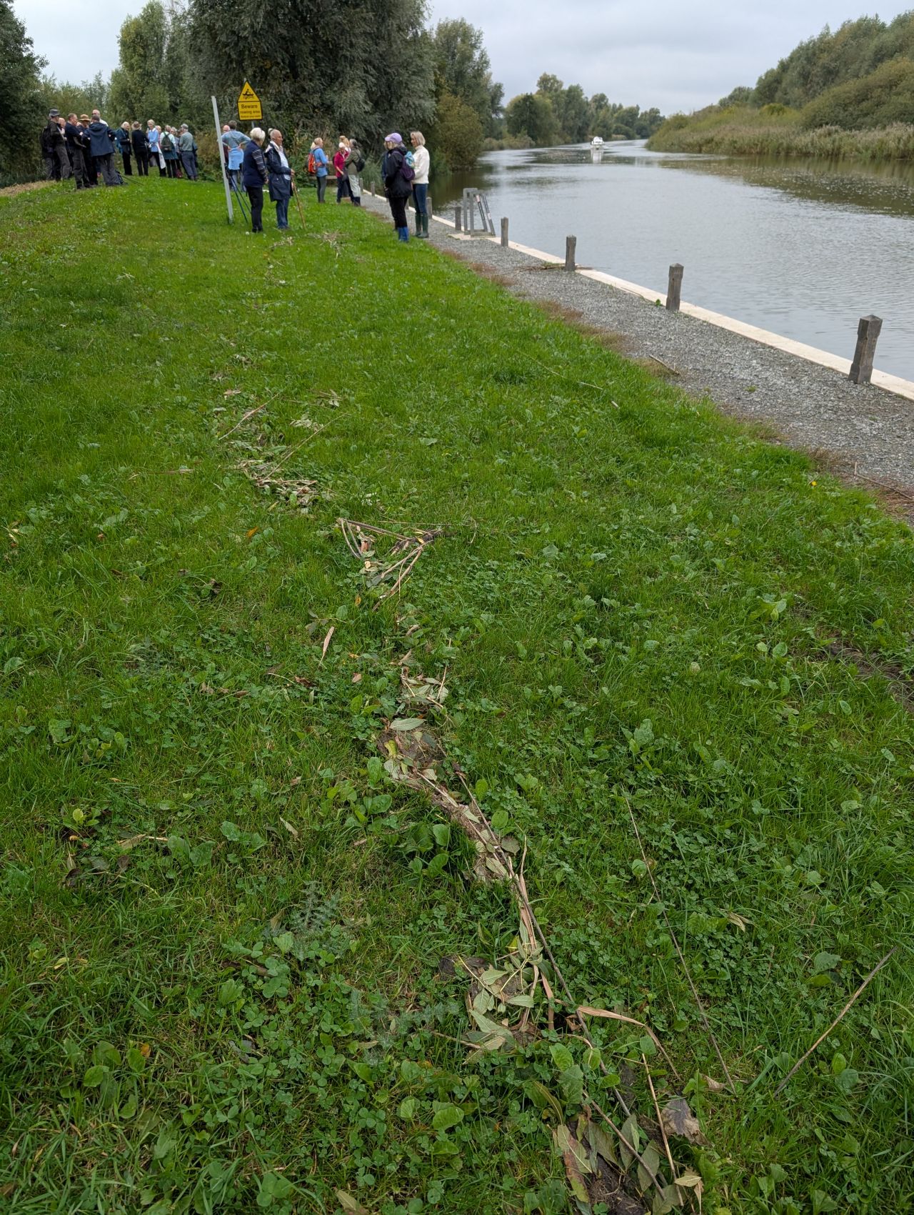 2025-10-08 04 North Cove and Wade Hall.jpg