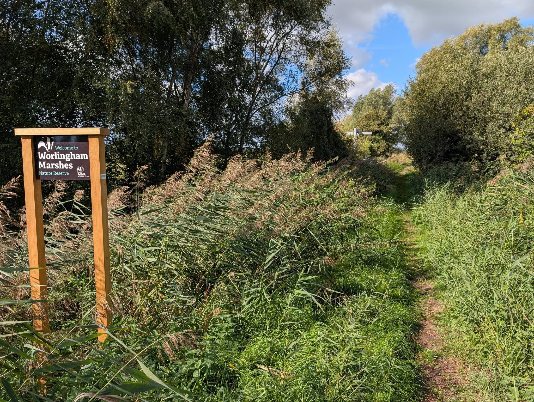 2026-10-04 01 Worlingham Marshes Suffolk Wildlife Trust.jpg