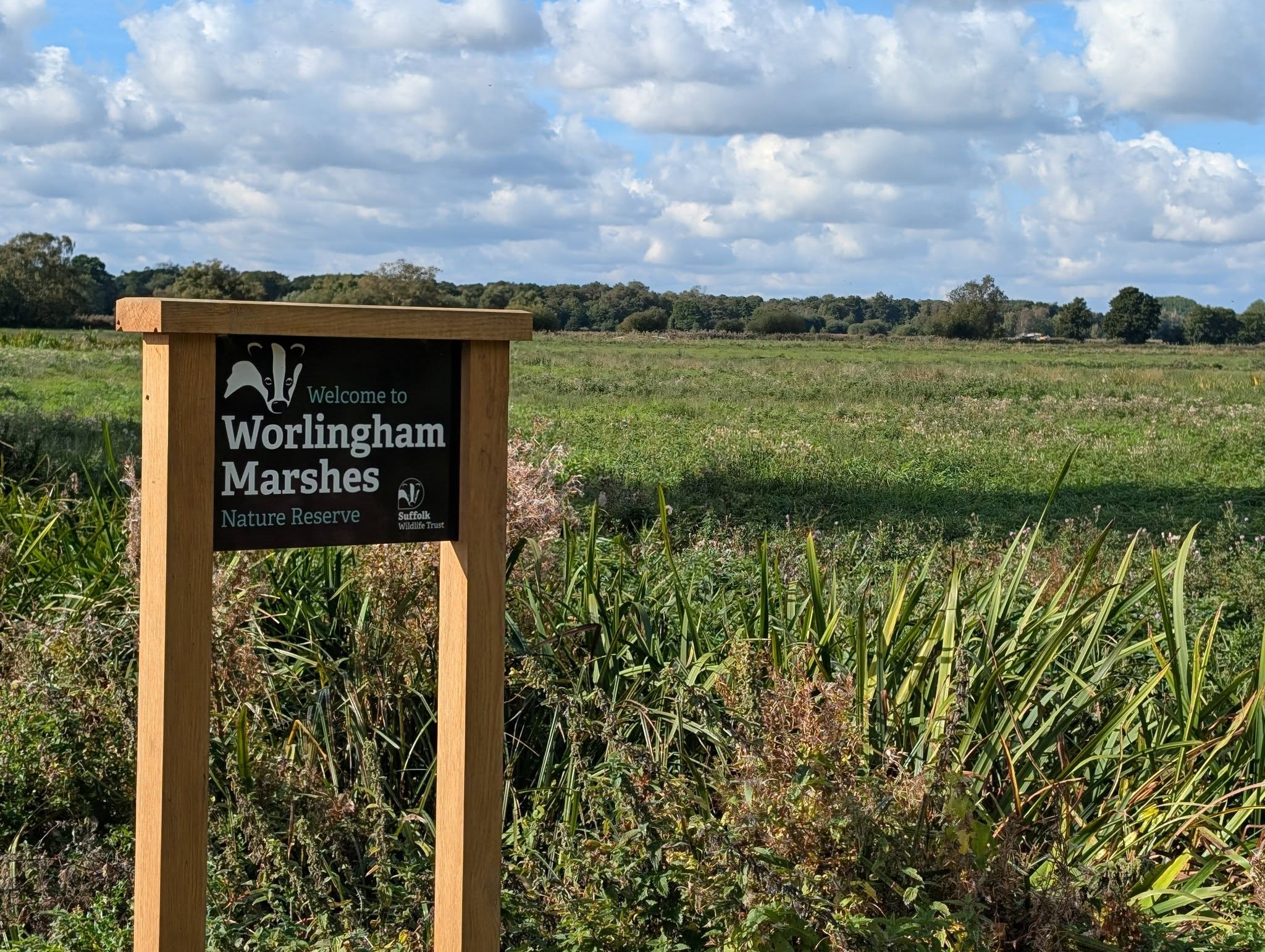 2026-10-04 02 Worlingham Marshes Suffolk Wildlife Trust.jpg