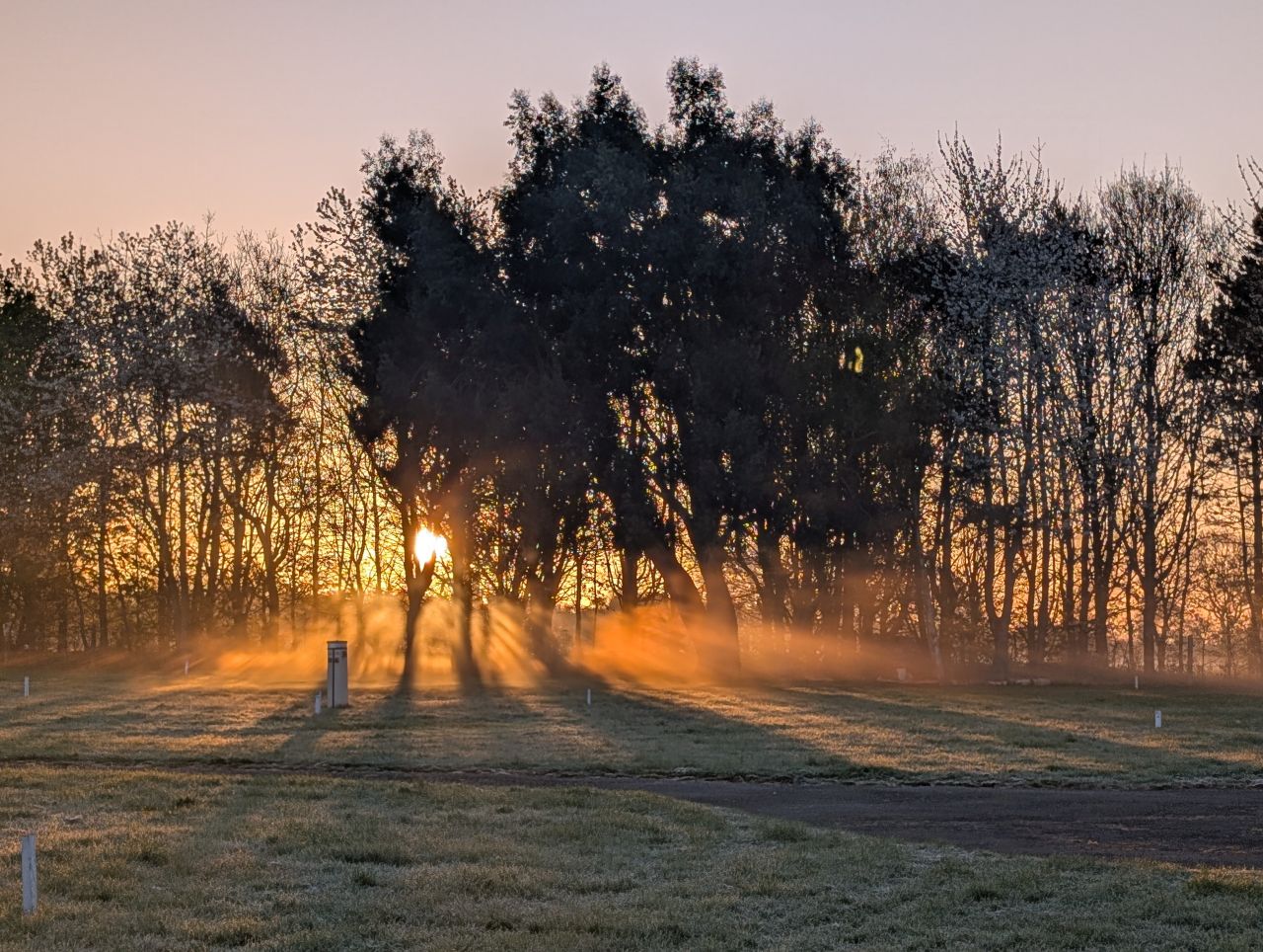 2026-04-15 01 Wangford Plough Walk.jpg