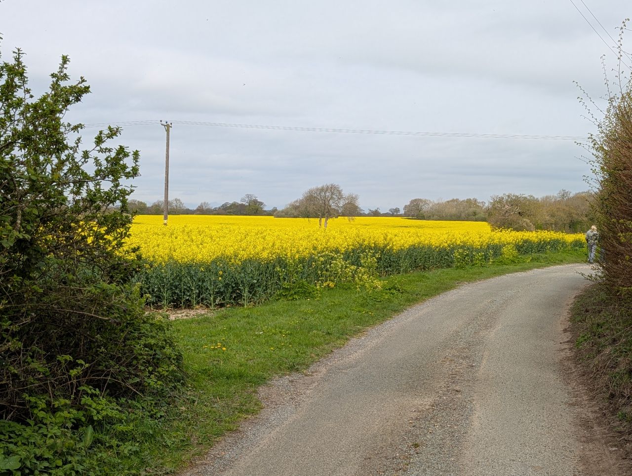 2026-04-15 08 Wangford Plough Walk.jpg