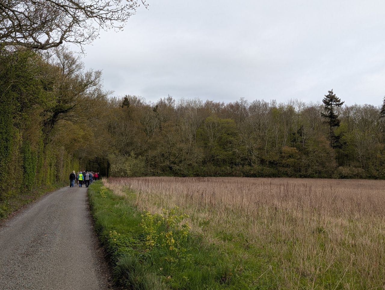 2026-04-15 09 Wangford Plough Walk.jpg