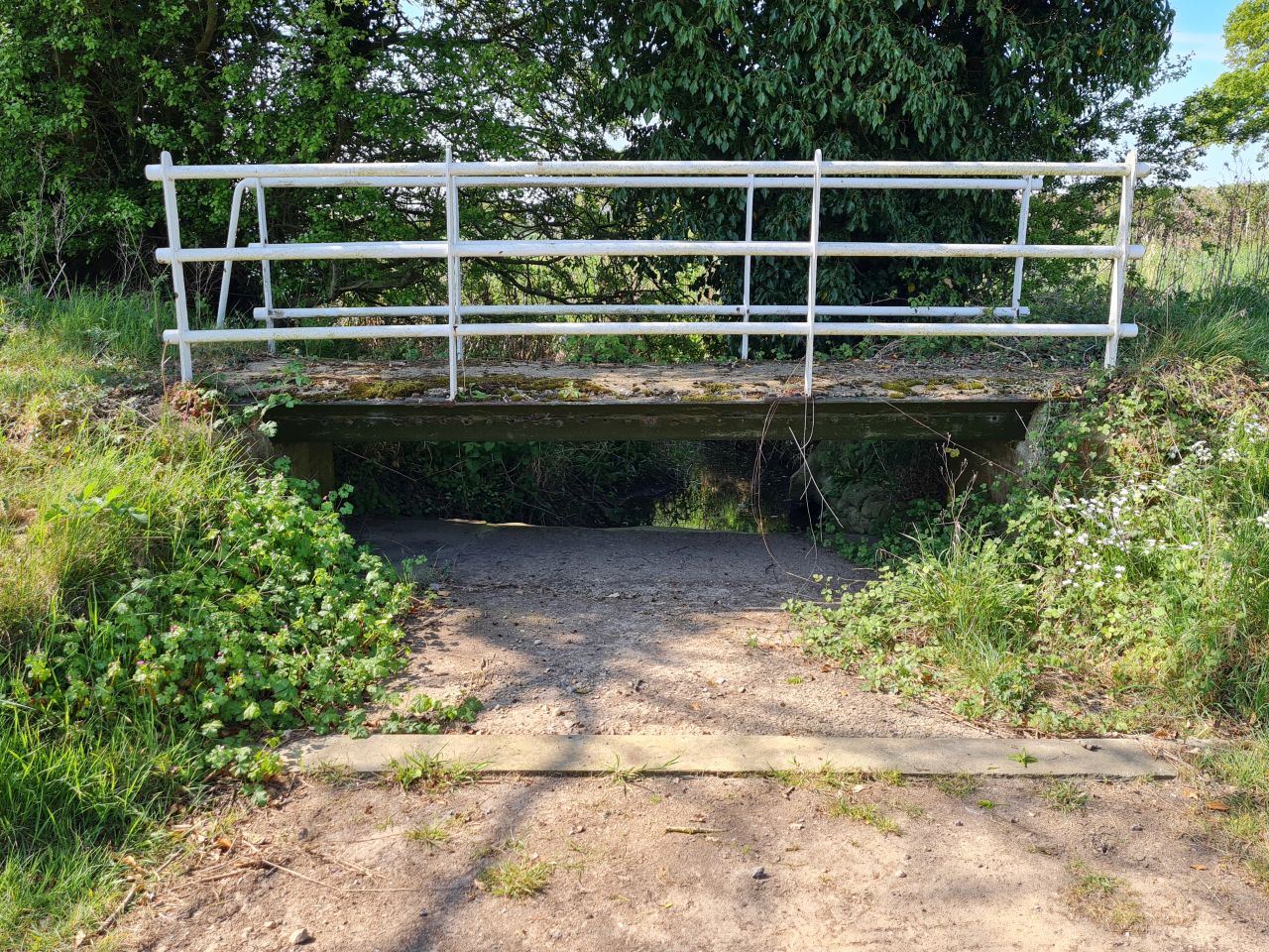 2025-04-30 02 Woodton.jpg