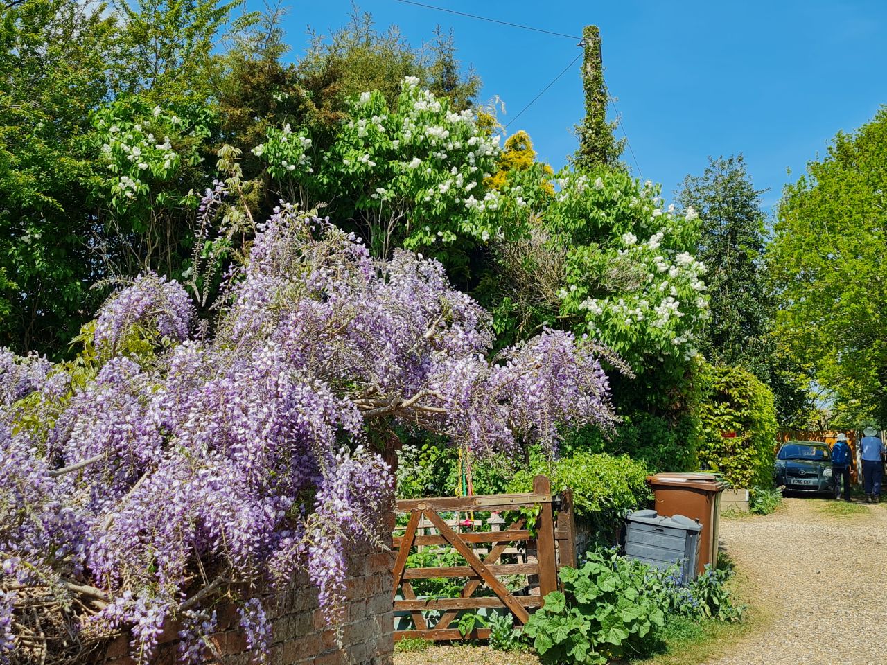 2025-04-30 06 Woodton.jpg