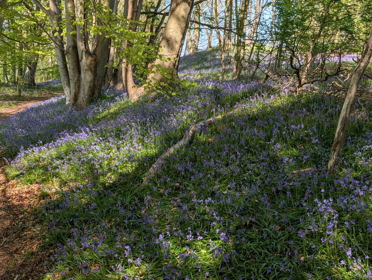 2026-04-22 04 Haddiscoe.jpg