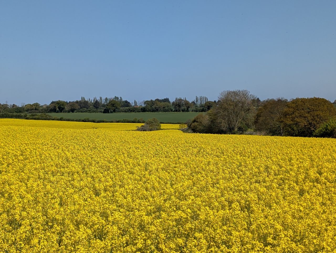 2026-04-22 08 Haddiscoe.jpg