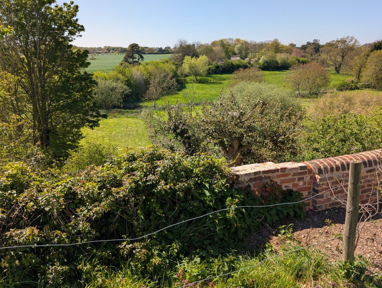 2026-04-22 16 Haddiscoe Saint Mary.jpg