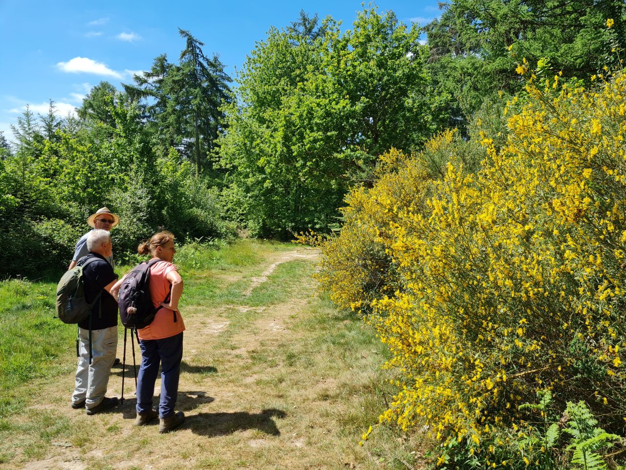 2025-05-15 10 Stansted Park Walk B.jpg