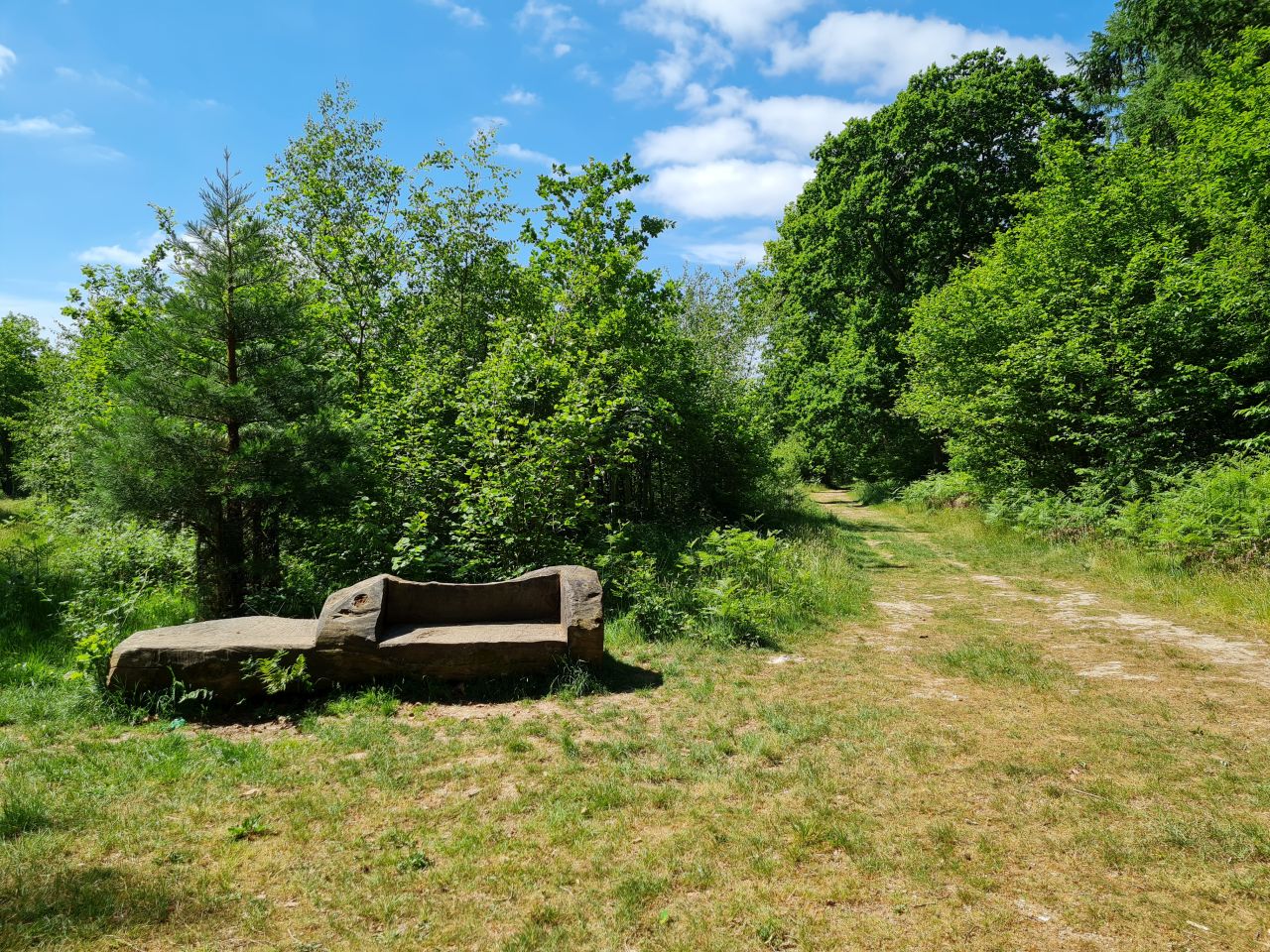 2025-05-15 11 Stansted Park Walk B.jpg