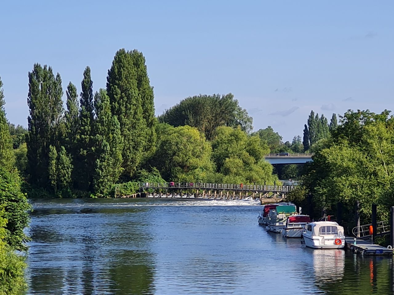 2024-07-27 03 Addlestone Chertsey Walton Thames Path.jpg