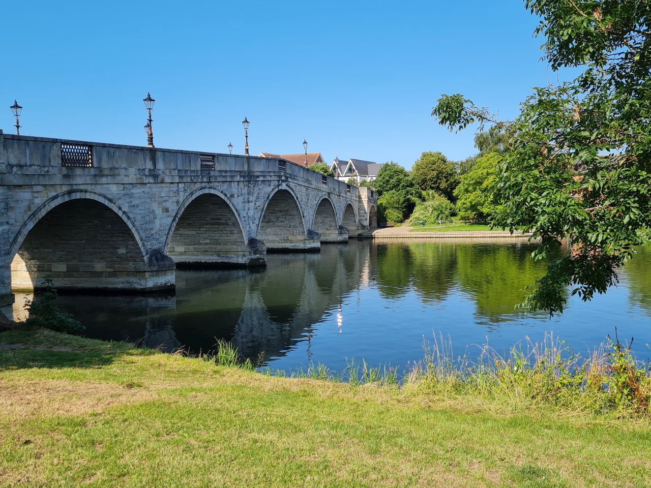 2024-07-27 05 Addlestone Chertsey Walton Thames Path.jpg