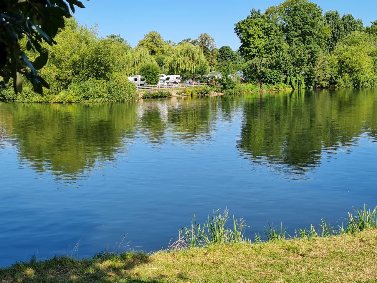 2024-07-27 06 Addlestone Chertsey Walton Thames Path.jpg