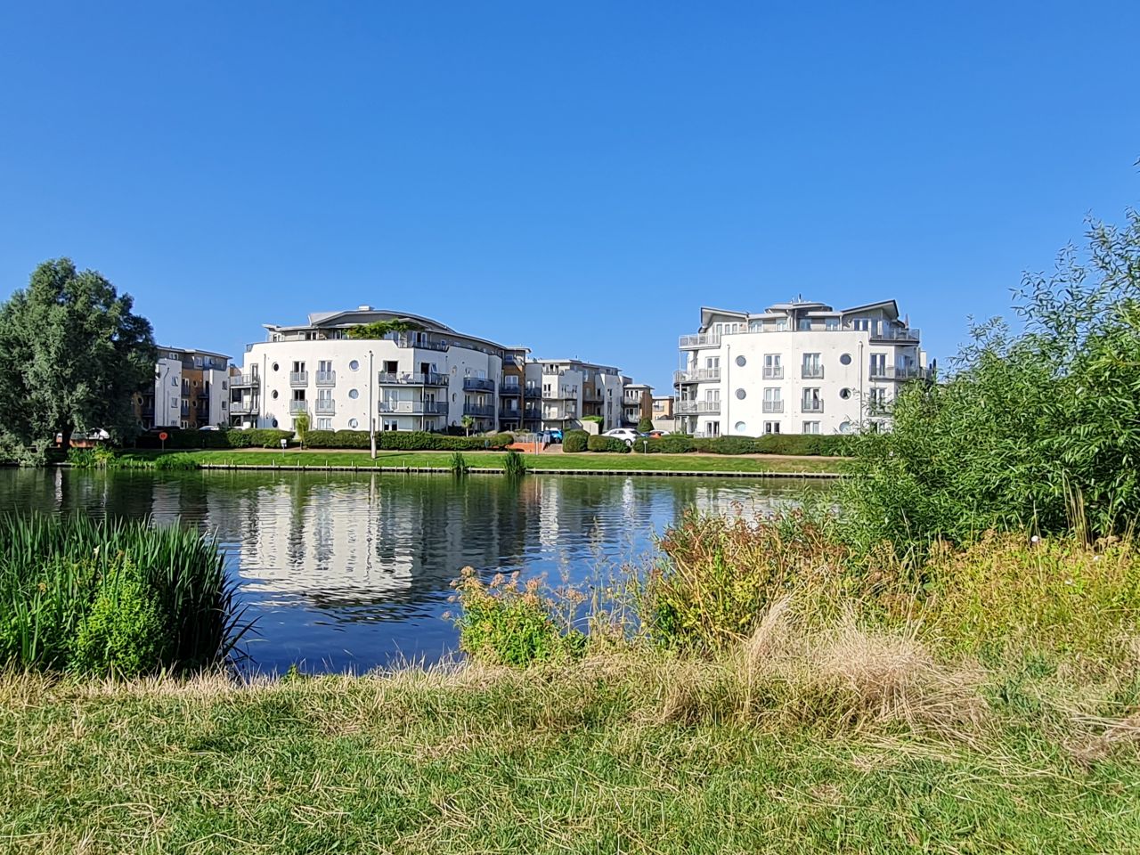 2024-07-27 10 Addlestone Chertsey Walton Thames Path.jpg