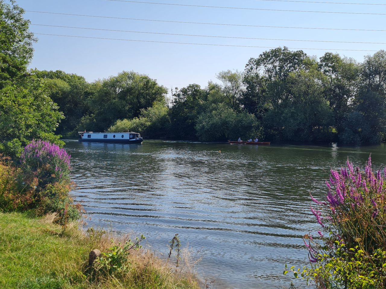 2024-07-27 13 Addlestone Chertsey Walton Thames Path.jpg