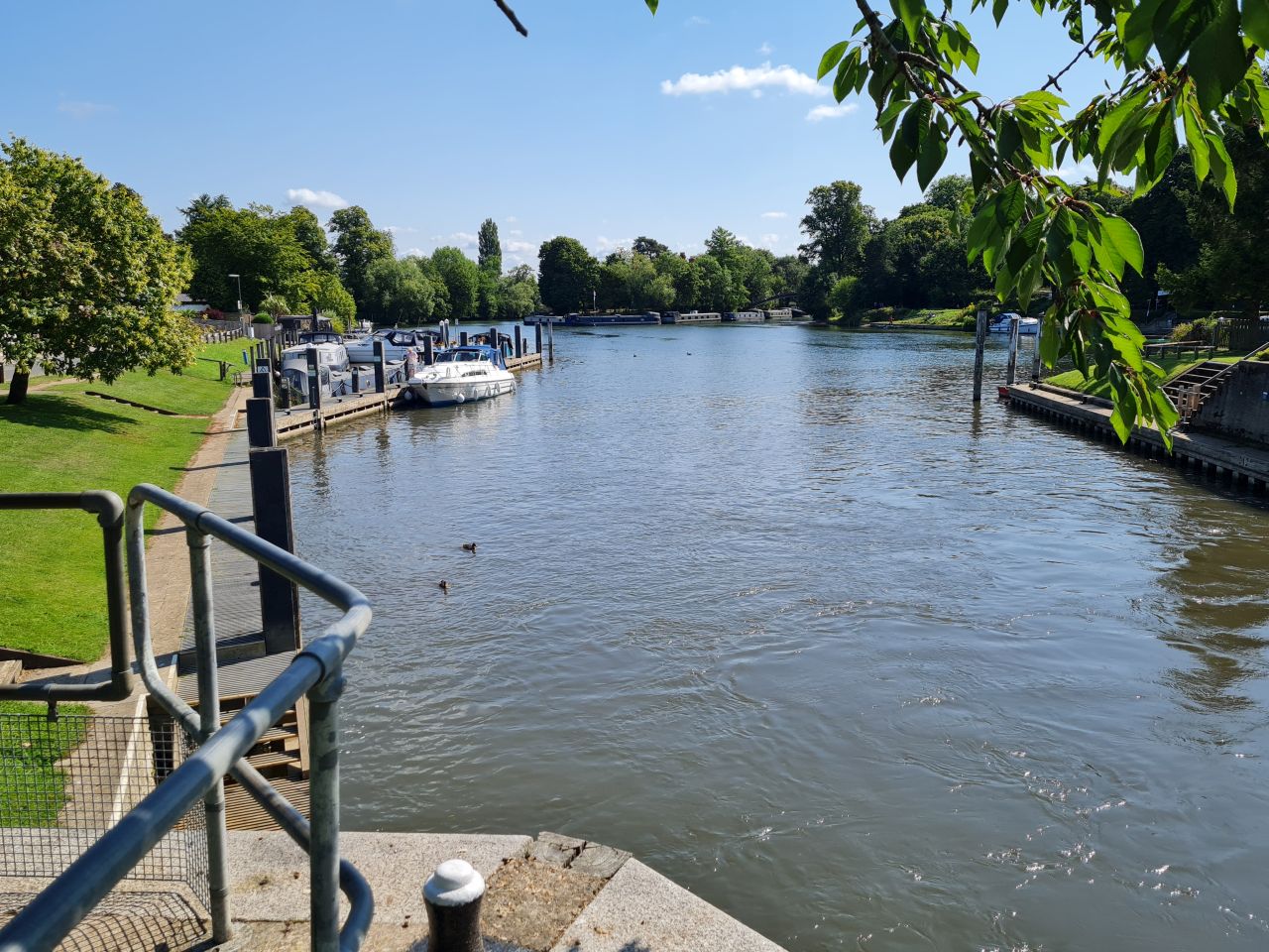 2024-07-27 22 Addlestone Chertsey Walton Thames Path.jpg