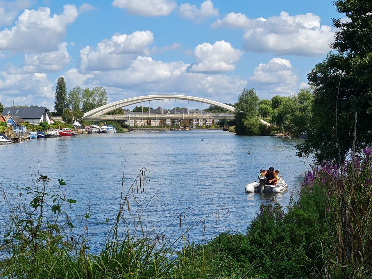 2024-07-27 32 Addlestone Chertsey Walton Thames Path.jpg