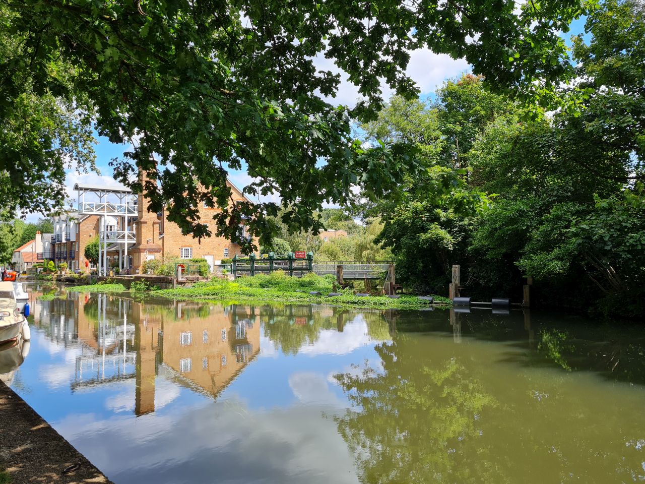 2024-07-27 45 Addlestone Chertsey Walton Thames Path.jpg