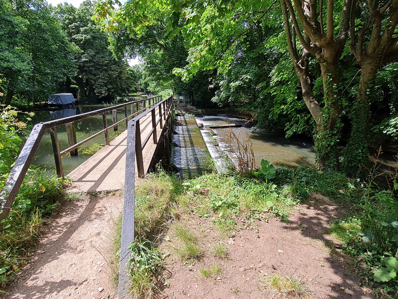 2024-07-27 48 Addlestone Chertsey Walton Thames Path.jpg