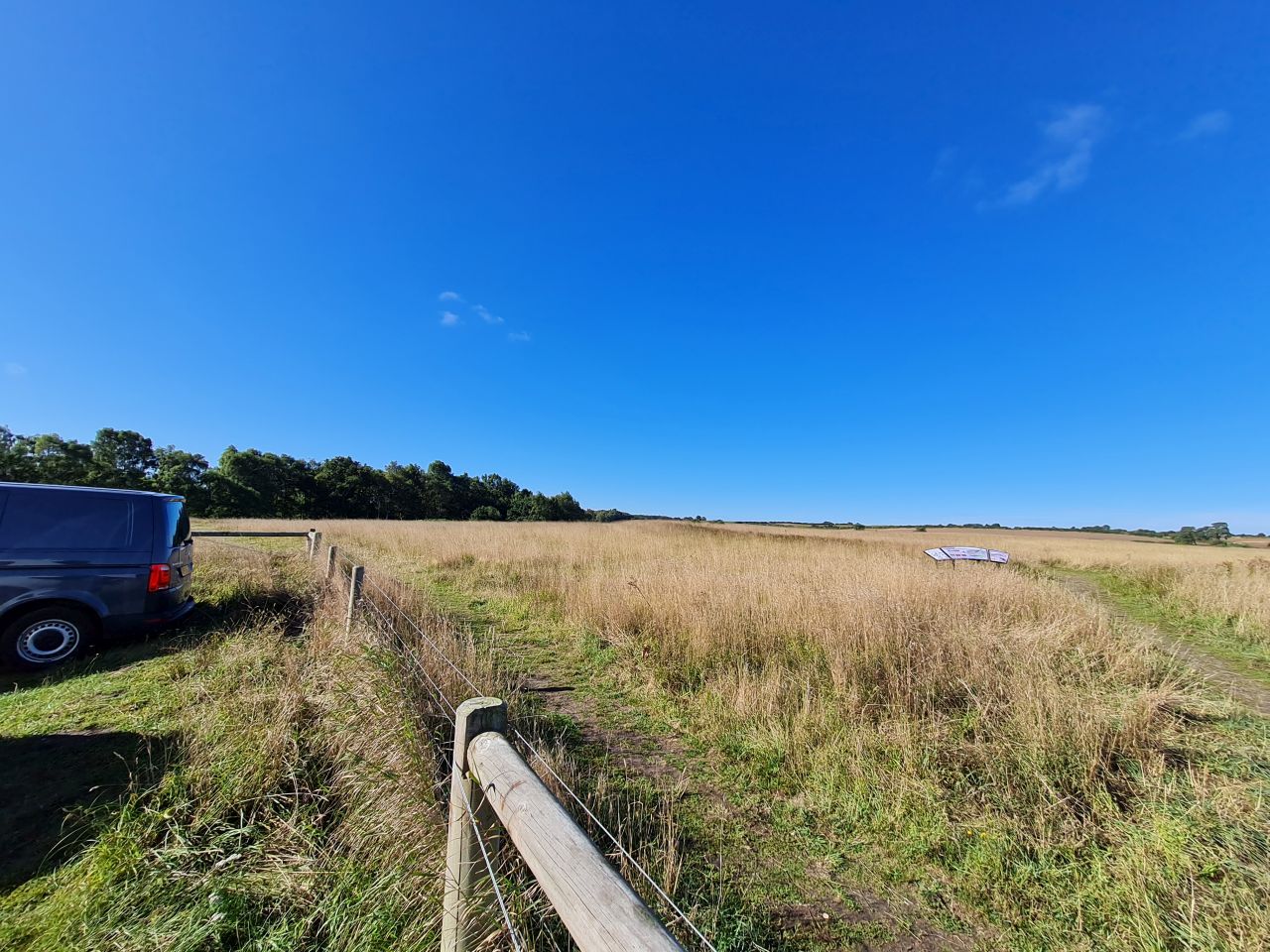 2024-09-12 03 Roydon Common.jpg