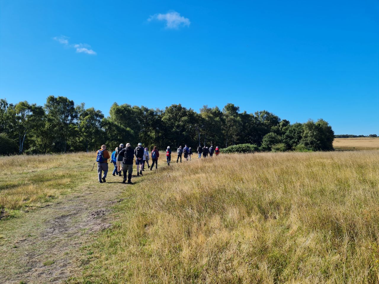 2024-09-12 05 Roydon Common.jpg