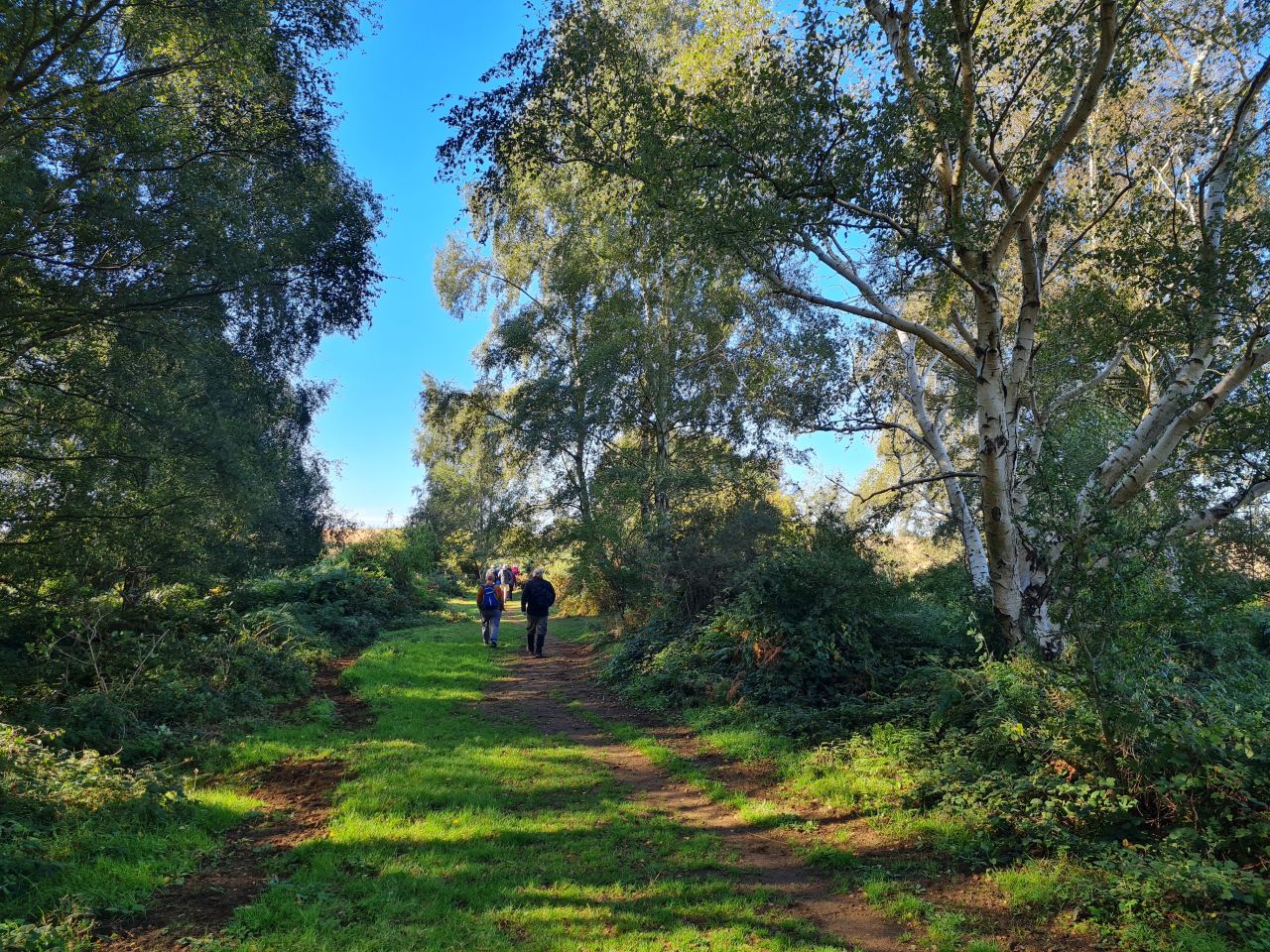 2024-09-12 06 Roydon Common.jpg