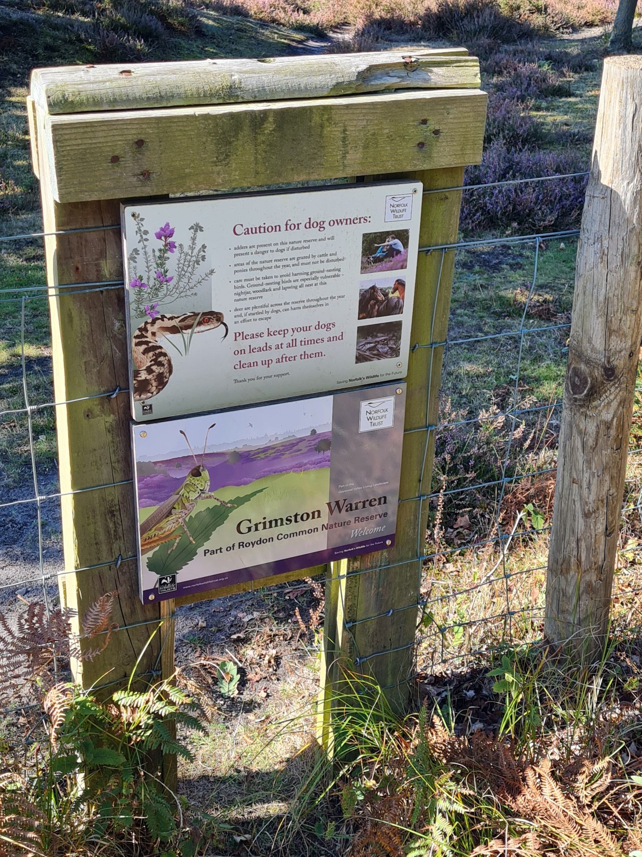 2024-09-12 10 Roydon Common.jpg