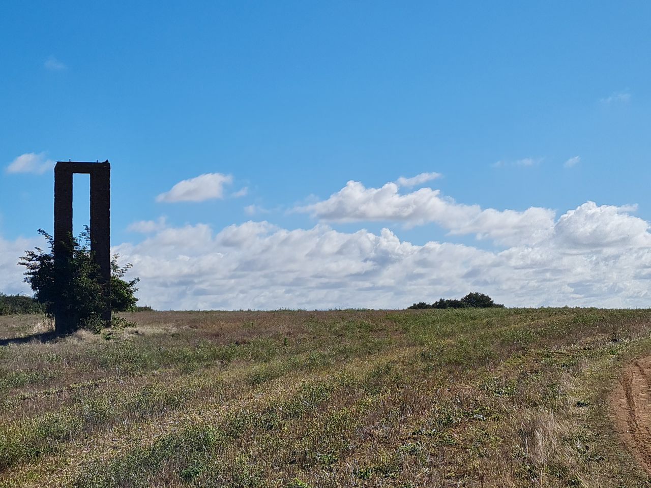 2024-09-12 12 Roydon Common.jpg