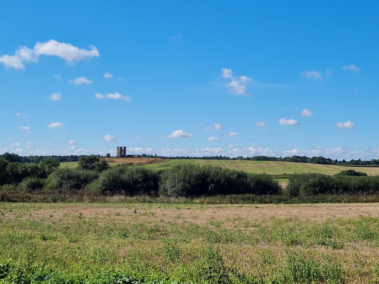 2024-09-12 15 Roydon Common.jpg