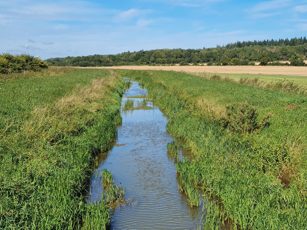 2024-09-12 16 Roydon Common.jpg