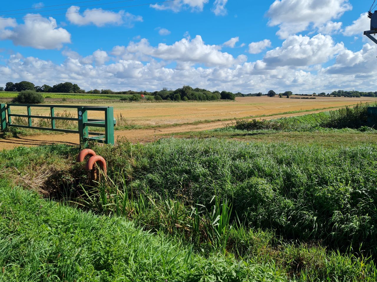 2024-09-12 23 Roydon Common.jpg