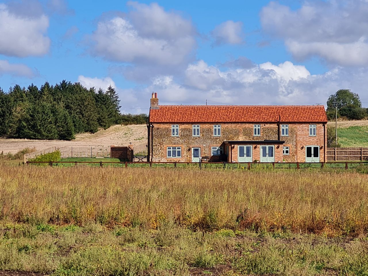 2024-09-12 24 Roydon Common.jpg