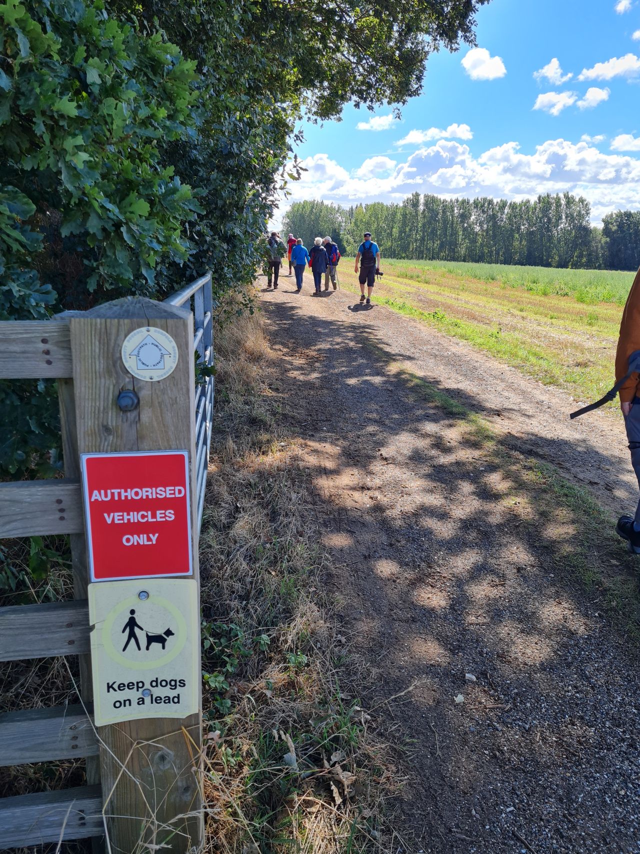 2024-09-12 25 Roydon Common.jpg